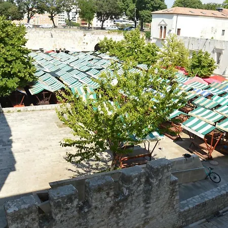 Silvia * Zadar